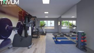 Estrela do Mar Mais Viver 