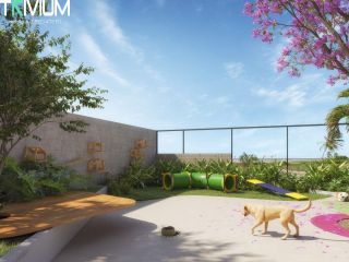 Pallazzo Silvia Fonseca Diniz