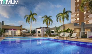  Flor de Lótus Mais Viver