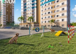  Flor de Lótus Mais Viver