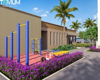  Flor de Lótus Mais Viver