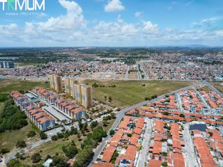  Flor de Lótus Mais Viver