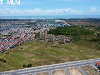  Flor de Lótus Mais Viver