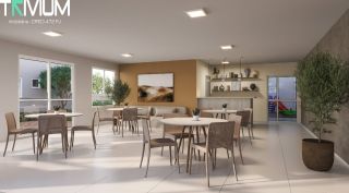  Flor de Lótus Mais Viver