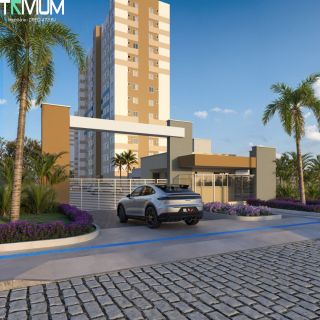  Flor de Lótus Mais Viver