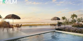 NERUDA - A beleza de viver à beira-mar!