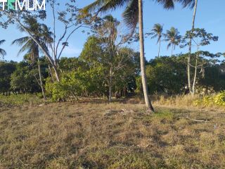 SITIO EM SÃO DOMINGOS