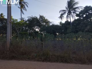 SITIO EM SÃO DOMINGOS