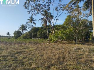 SITIO EM SÃO DOMINGOS