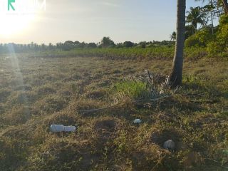 SITIO EM SÃO DOMINGOS