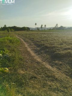 SITIO EM SÃO DOMINGOS