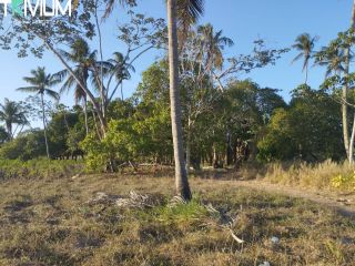 SITIO EM SÃO DOMINGOS