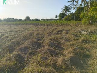 SITIO EM SÃO DOMINGOS