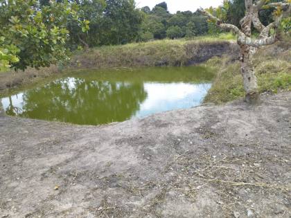 SITIO EM LAGARTO