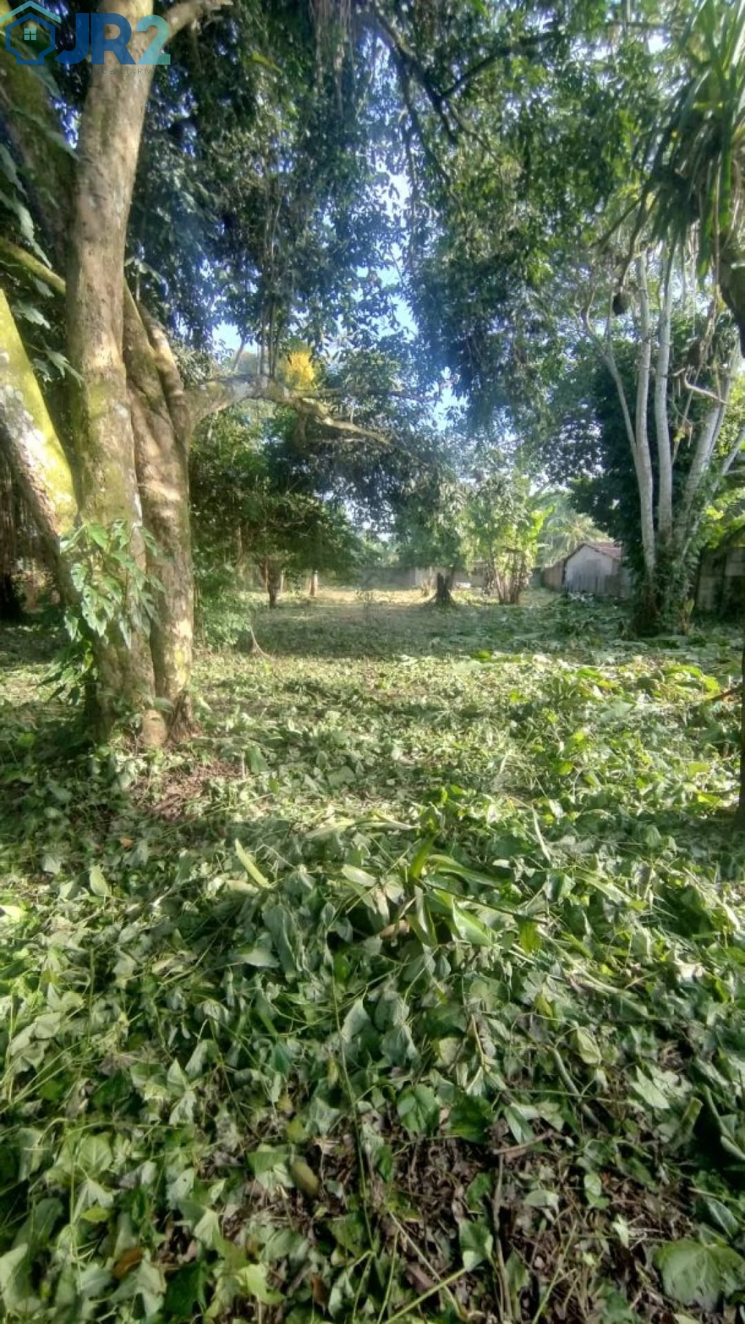 OPORTUNIDADE ÚNICA EM ALDEIA: SEU TERRENO DOS SONHOS