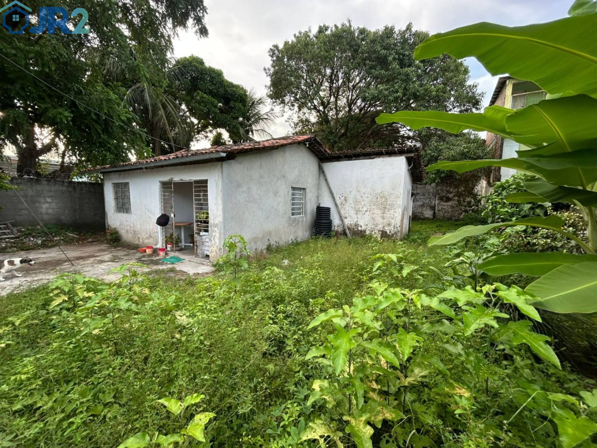 OPORTUNIDADE EM MUSTARDINHA