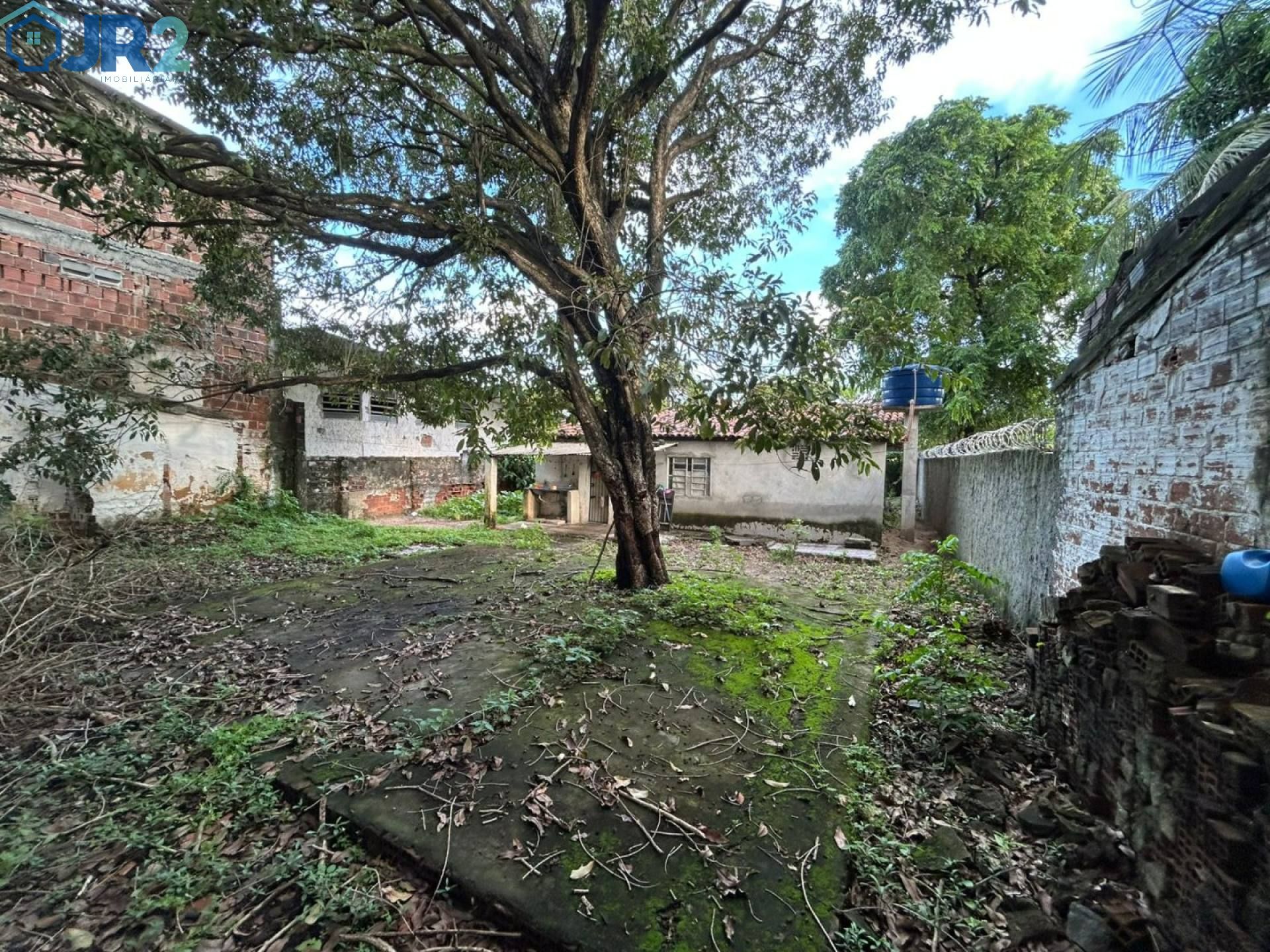 OPORTUNIDADE EM MUSTARDINHA