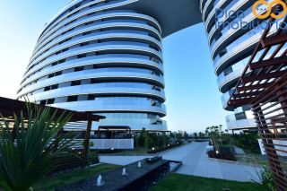 WSTC - Washington Soares Trade Center