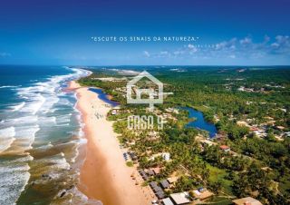 MAUI IMBASSAI