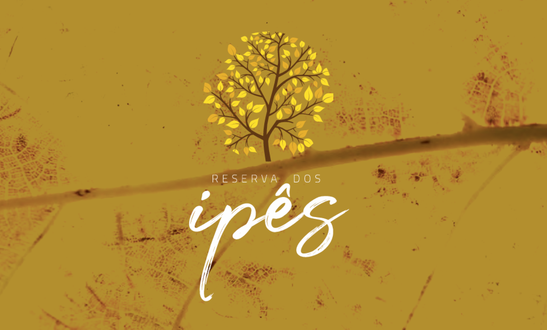 RESERVA DOS IPES