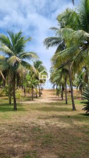 Área de 27.598m² frente mar em Barra de Itariri-Ba
