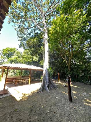 Casa duplex pra locação anual com 4 quartos no Condomínio Fazenda Praia do Forte Açu da Torre Bahia