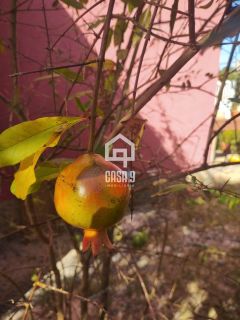 Casa á venda em Imbassai com terreno de 1050m²