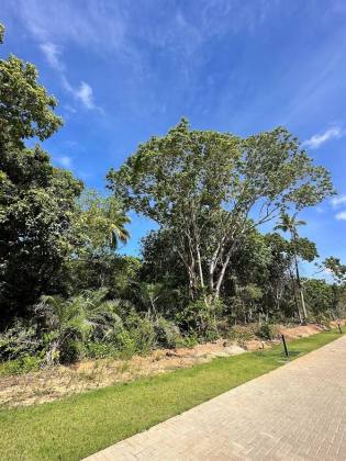 Terreno a venda no Condomínio Praia do Castelo em Praia do Forte Bahia