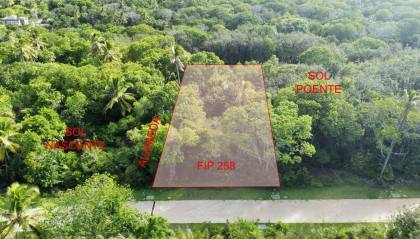 Terreno a venda no Condomínio Praia do Castelo em Praia do Forte Bahia
