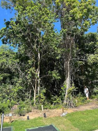 Terreno a venda no Condomínio Praia do Castelo em Praia do Forte Bahia