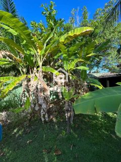 Sitio a venda em Monte Gordo Guarajuba Bahia