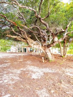 Terreno plano com 800 m² a venda fundo de lagoa no condomínio Águas de Sauipe em Porto de Sauipe Bahia