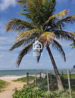 Apartamento a venda com 3 quartos na Praia do Surf Itacimirim Bahia