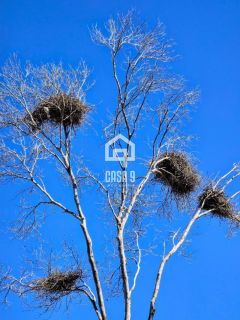 APARTAMENTO 1 QUARTO NA PRAIA DO FORTE