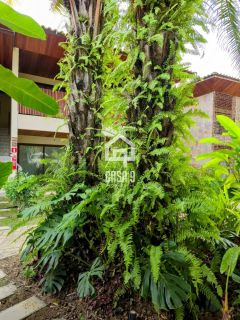 Apartamento a venda com 2 quartos sendo 1 suíte no condomínio Terra Doce em Imbassai Bahia