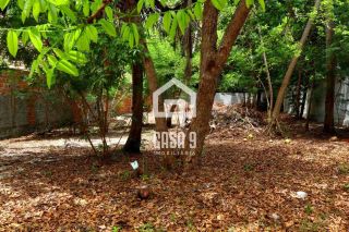 Lote a 500 metros da Praia em Imbassaí