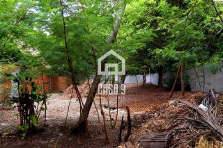 Lote a 500 metros da Praia em Imbassaí