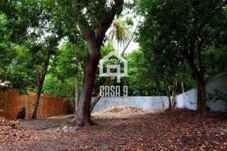 Lote a 500 metros da Praia em Imbassaí