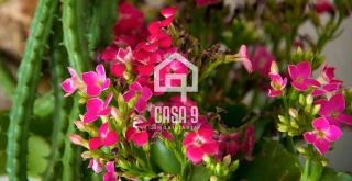 Casa a venda mobiliada com 5 suítes no condominio Porta das Baleias em Praia do Forte Bahia