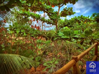 Imóvel com 5 apartamentos no Jardim Imbassaí