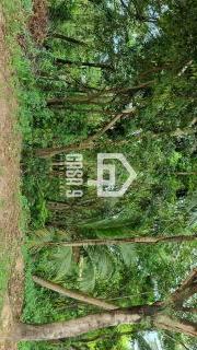 Lote de 999m² em Imbassai-ba