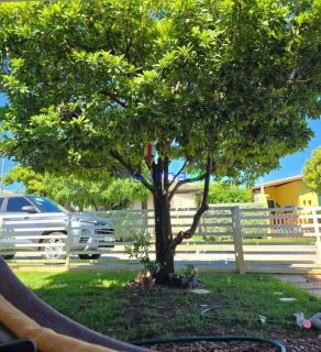 Casa à venda em condomínio fechado – Próximo à Praia do Mosqueiro