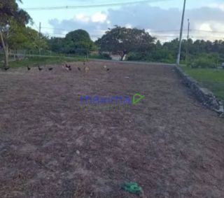 Terreno à venda no Mosqueiro – Excelente localização