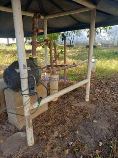 Mini chacará no Mosqueiro