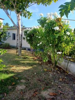 Mini chacará no Mosqueiro