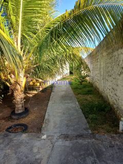 Mini chacará no Mosqueiro