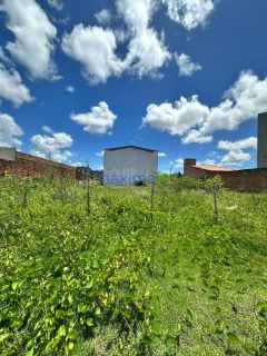 Lote no Loteamento Mangueiras - Jabotiana