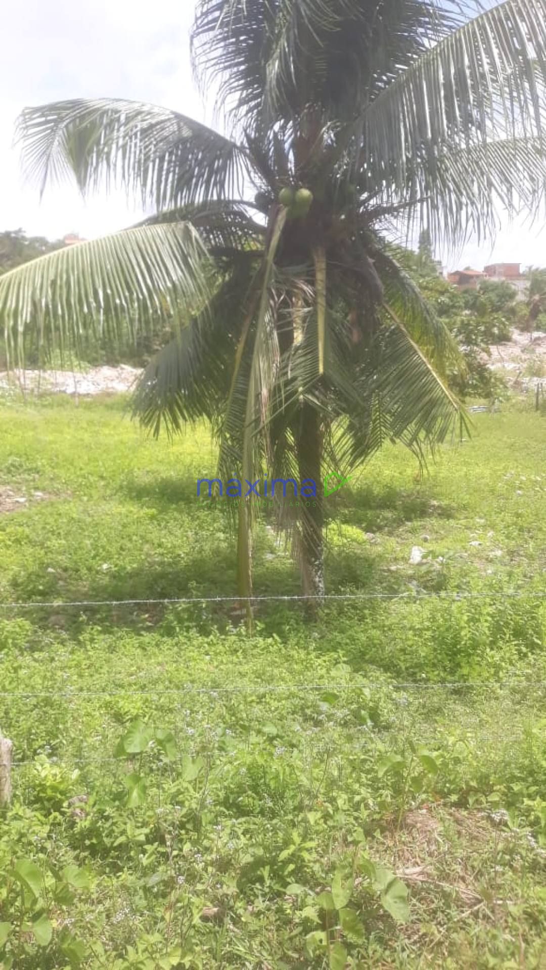 Oportunidade lote próximo UFS no caminho da estrada do Aloque