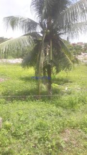 Oportunidade lote próximo UFS no caminho da estrada do Aloque