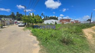 Lotes à Venda no Residencial Nova Santa Lúcia – 250 m² | Excelente Oportunidade de Investimento